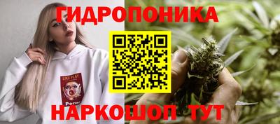 МДПВ Краснодар