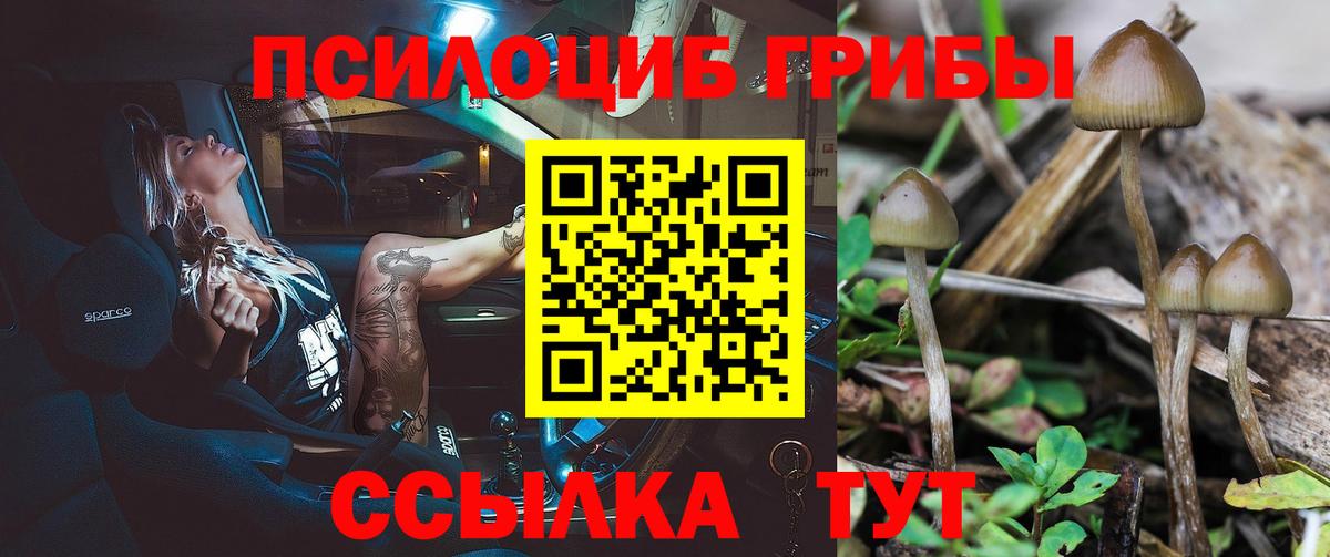 Псилоцибиновые грибы Psilocybe  дарнет шоп  Горячий Ключ  Вход с VPN 